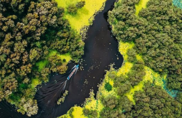 Tra Su Melaleuca Forest